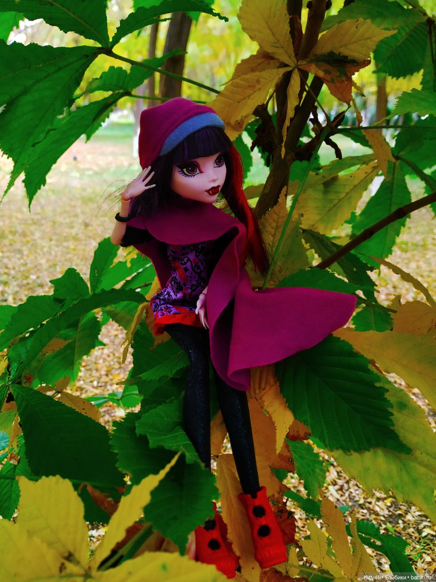 Золотая Осень — Куклы Monster High и Ever After High: G1