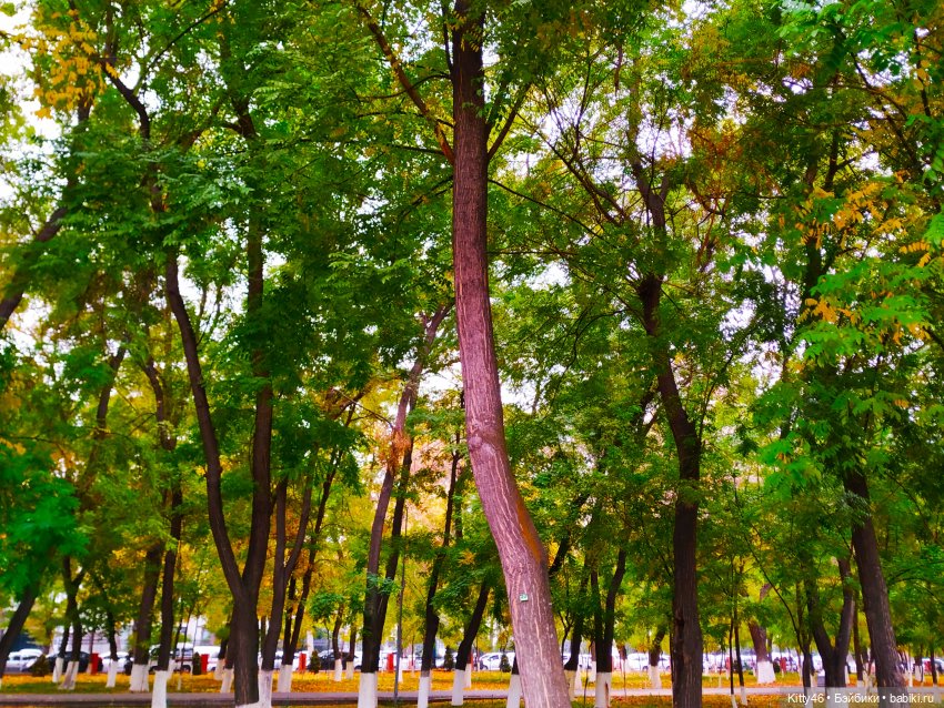 Золотая Осень — Куклы Monster High и Ever After High: G1