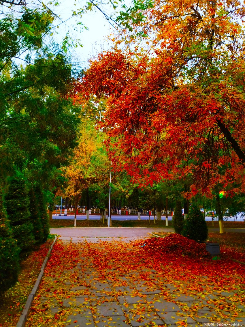 Золотая Осень — Куклы Monster High и Ever After High: G1