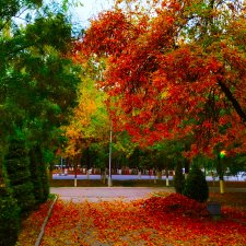 Золотая Осень