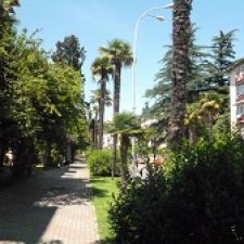 Прогулка по Хосте.