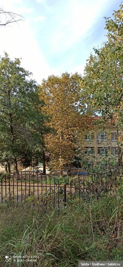 Мадлен и осенний Сочи — Гибриды шарнирных кукол (не БЖД): подбор тела