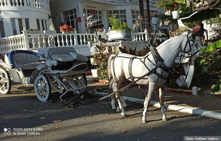 Мадлен и осенний Сочи — Гибриды шарнирных кукол (не БЖД): подбор тела