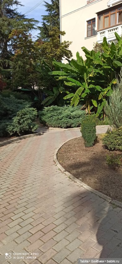 Мадлен и осенний Сочи — Гибриды шарнирных кукол (не БЖД): подбор тела