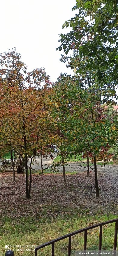 Мадлен и осенний Сочи — Гибриды шарнирных кукол (не БЖД): подбор тела (фото 3)