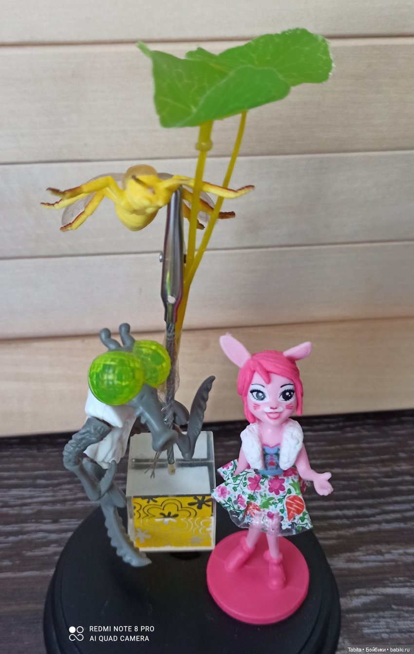 Баболи получили новые платья