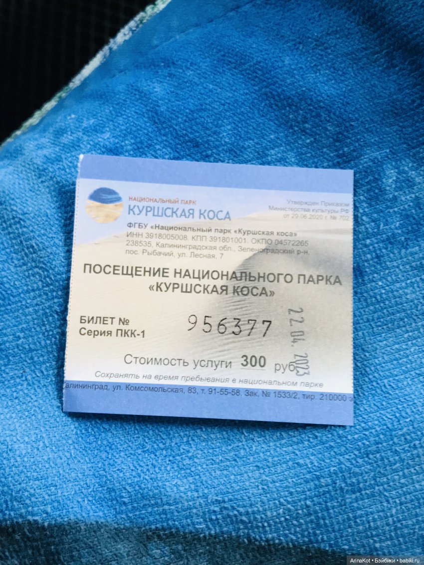 Нечаянная прогулка по кушской косе... кукла зарисовка (фото 2)