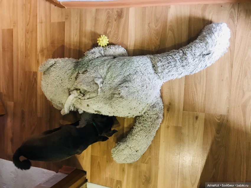 Два спасённых мишутки — Реставрация и преображение кукол: ремонт (фото 9)