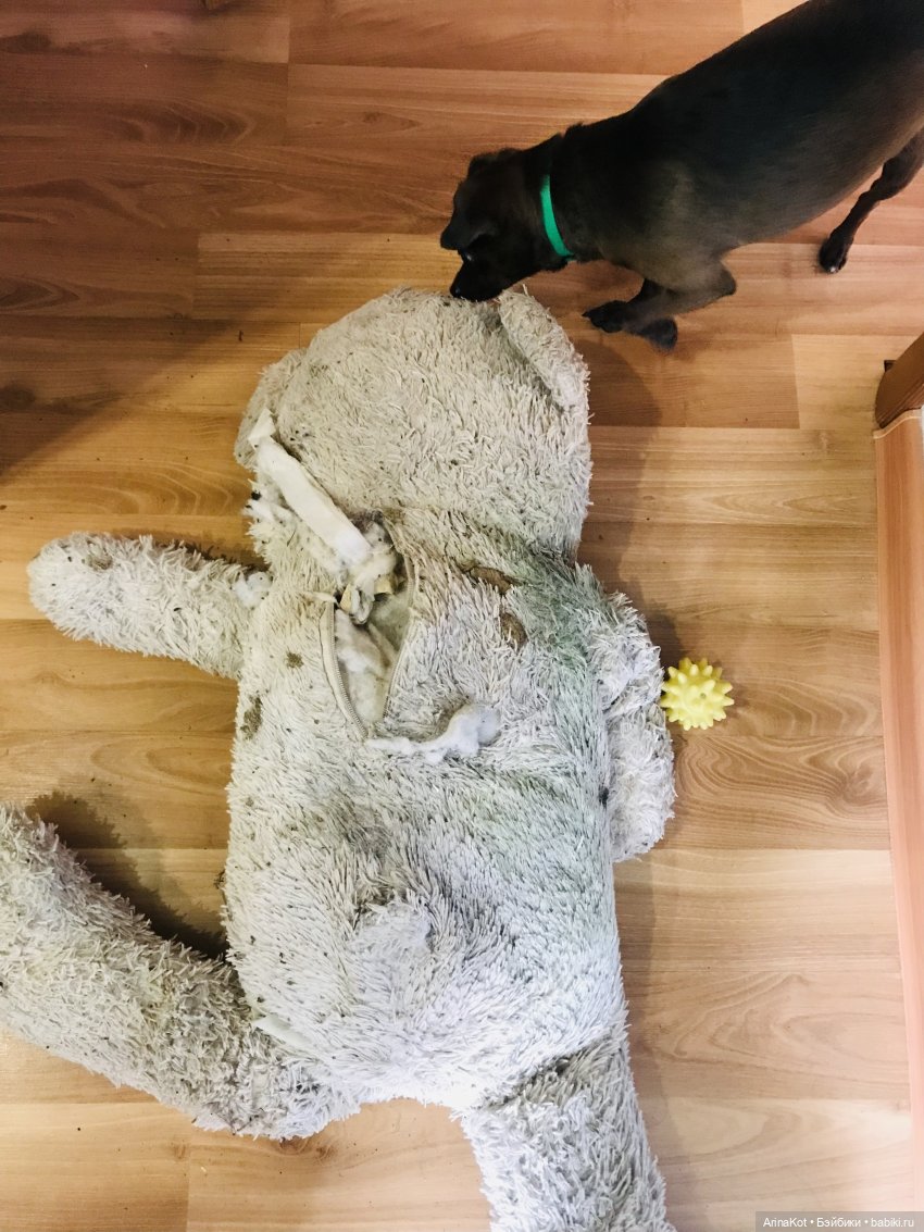 Два спасённых мишутки — Реставрация и преображение кукол: ремонт