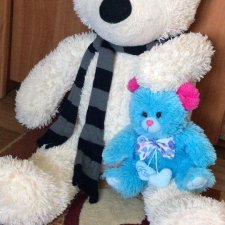 Два спасённых мишутки