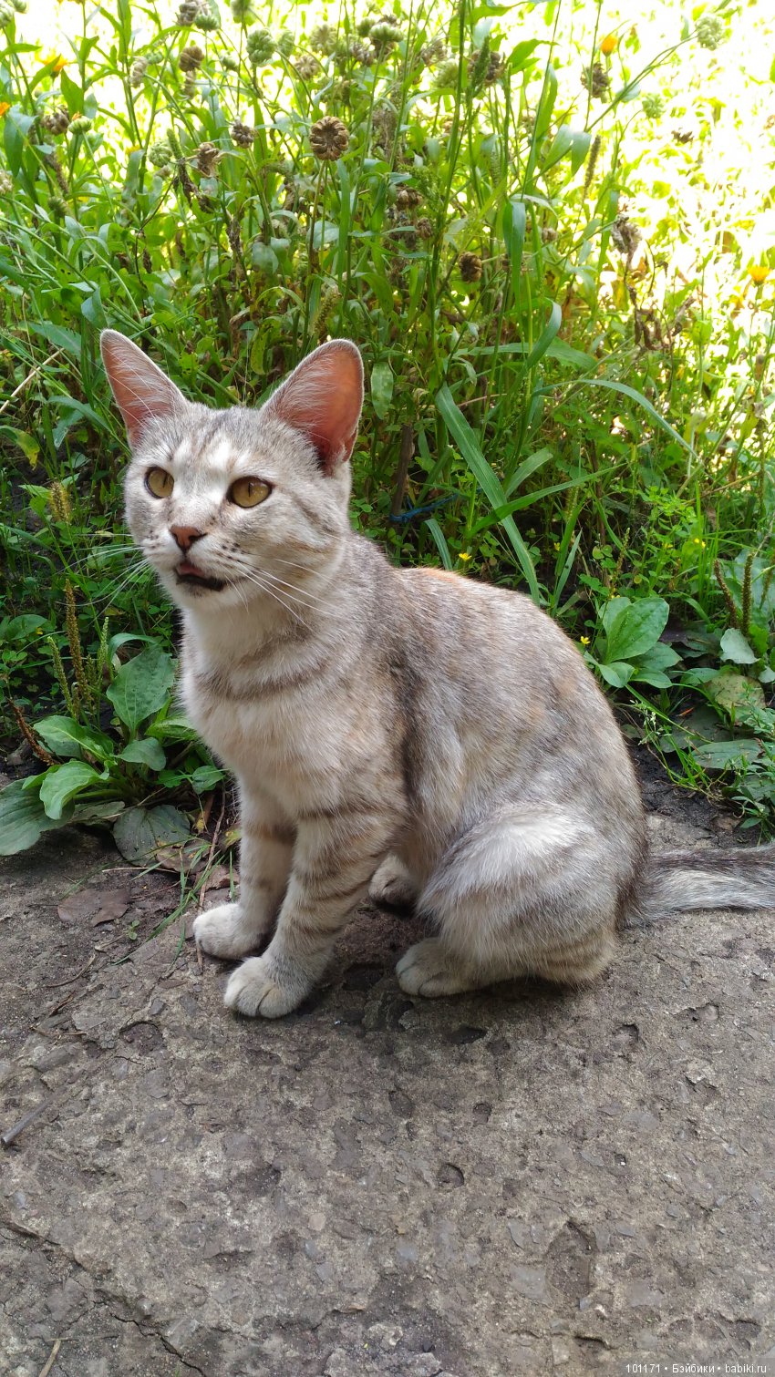 "... Но все еще- ЛЕТО... или фотосессия в обнове