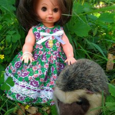 Прошел ли отпуск "зазря" или старые друзья и новые радости