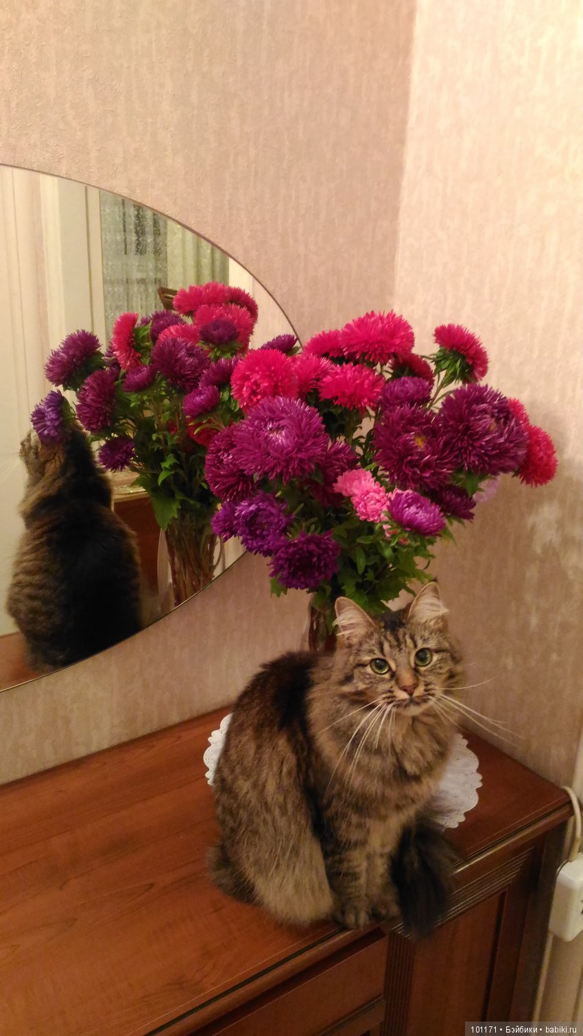 Вечер в октябре или "нужно быть счастливым сейчас" (фото 6)