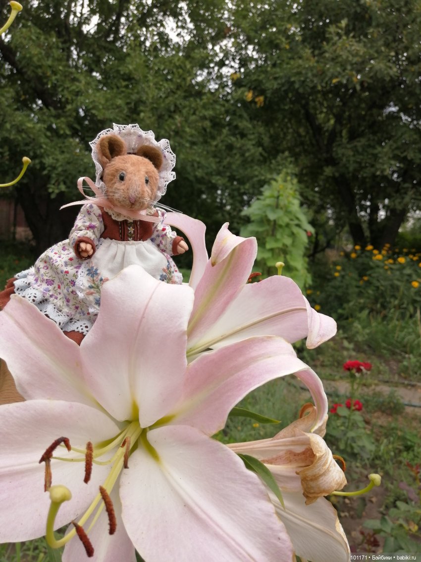 Дачные приключения Сударыни Мыши или "Три орешка для Золушки" | Бэйбики Дачные приключения Сударыни Мыши или "Три орешка для Золушки" (фото 7)