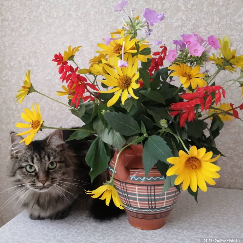 Пейте август по капле — Винтажные куклы ГДР (Немки): Бигги (фото 3)