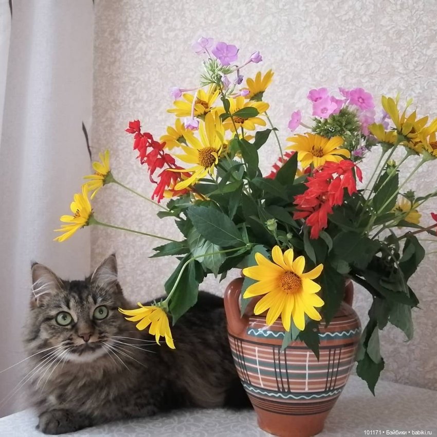 Пейте август по капле — Винтажные куклы ГДР (Немки): Бигги (фото 4)