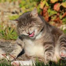 Улыбнитесь, друзья