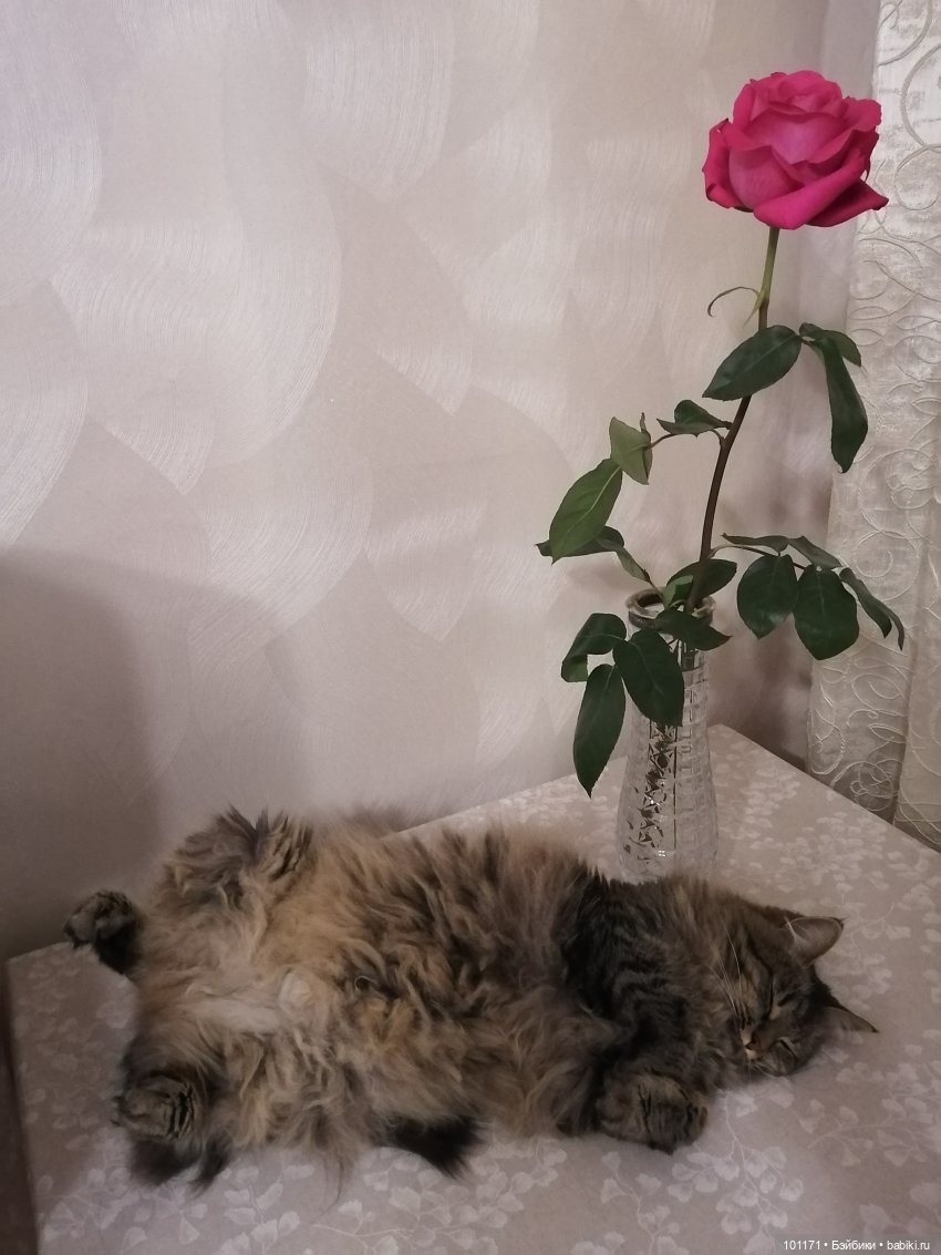 Рыжий флэшмоб: винтажечки спешат