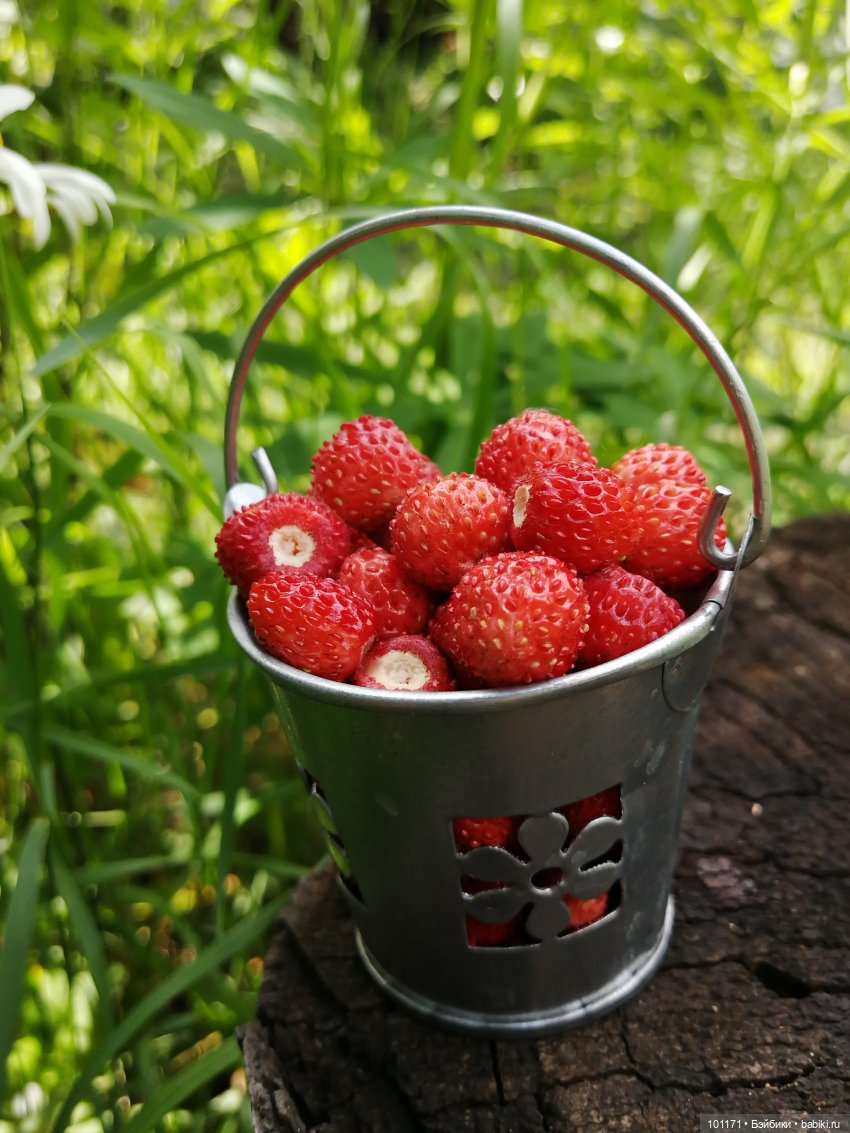 Лелино лето — Советские винтажные куклы (СССР): Ленигрушка