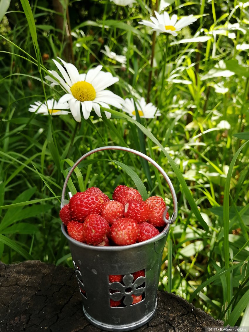 Лелино лето — Советские винтажные куклы (СССР): Ленигрушка