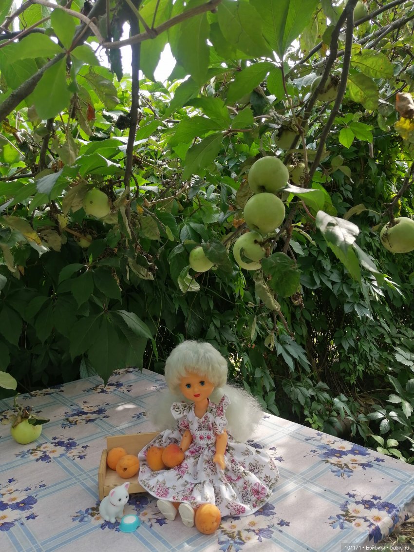 Снежана, Снежок и августовский денек