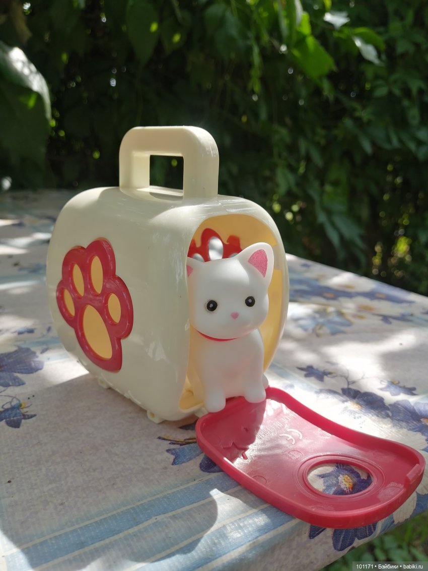 Снежана, Снежок и августовский денек (фото 10)