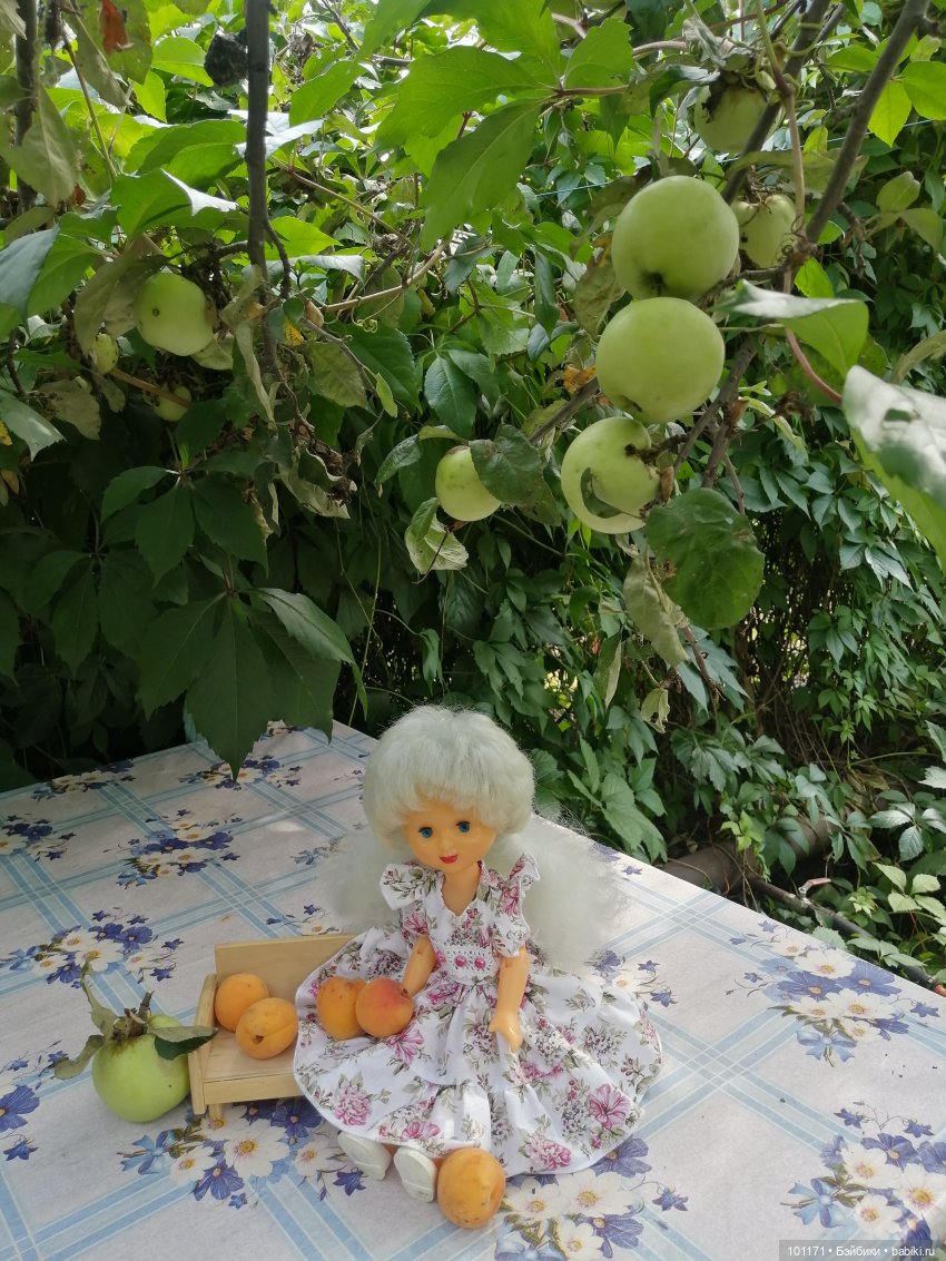 Снежана, Снежок и августовский денек