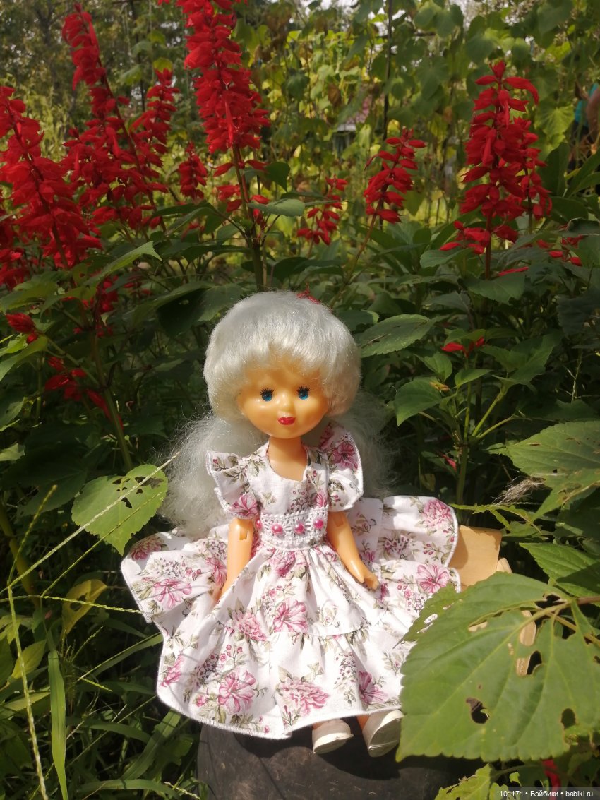 Снежана, Снежок и августовский денек (фото 8)