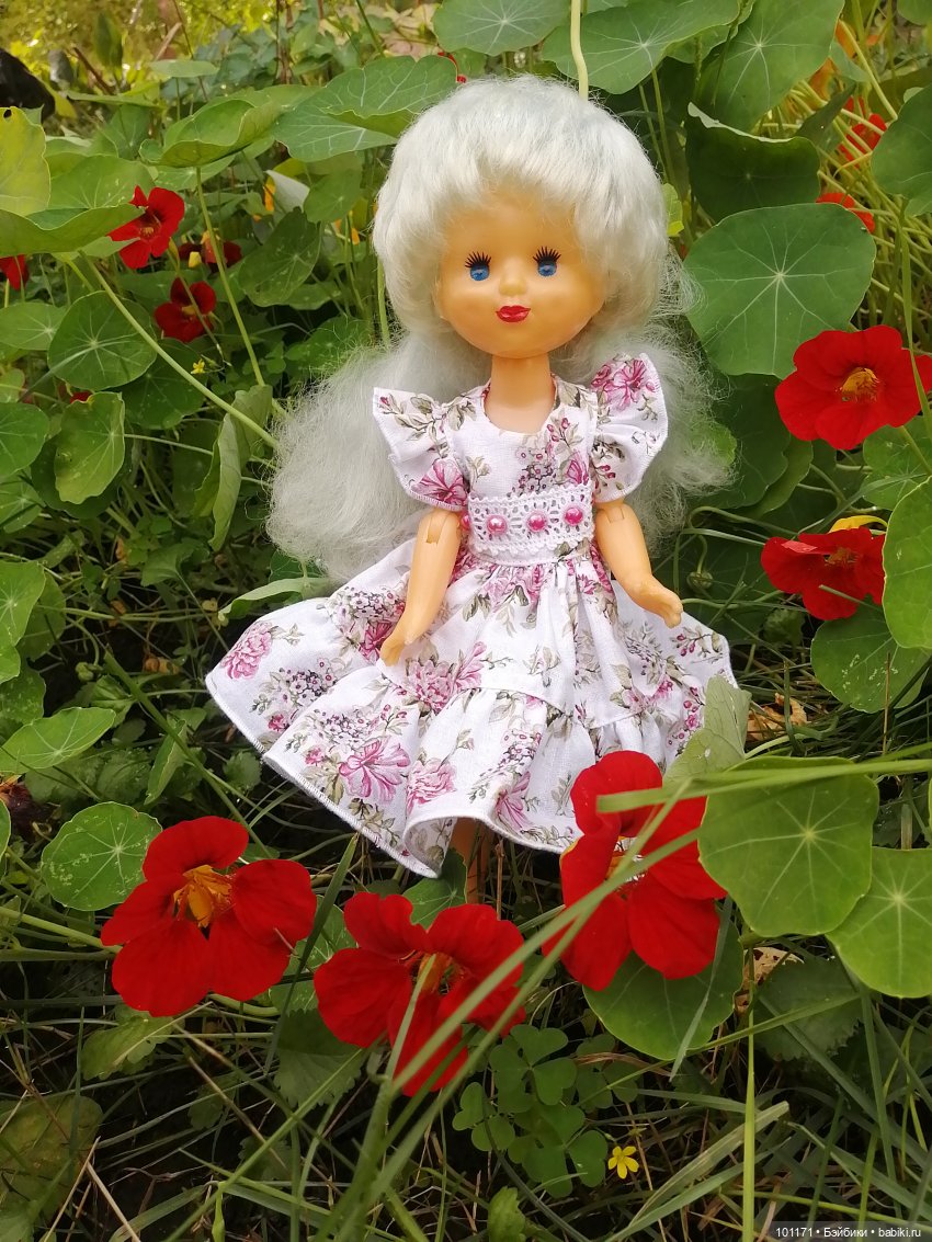 Снежана, Снежок и августовский денек (фото 7)