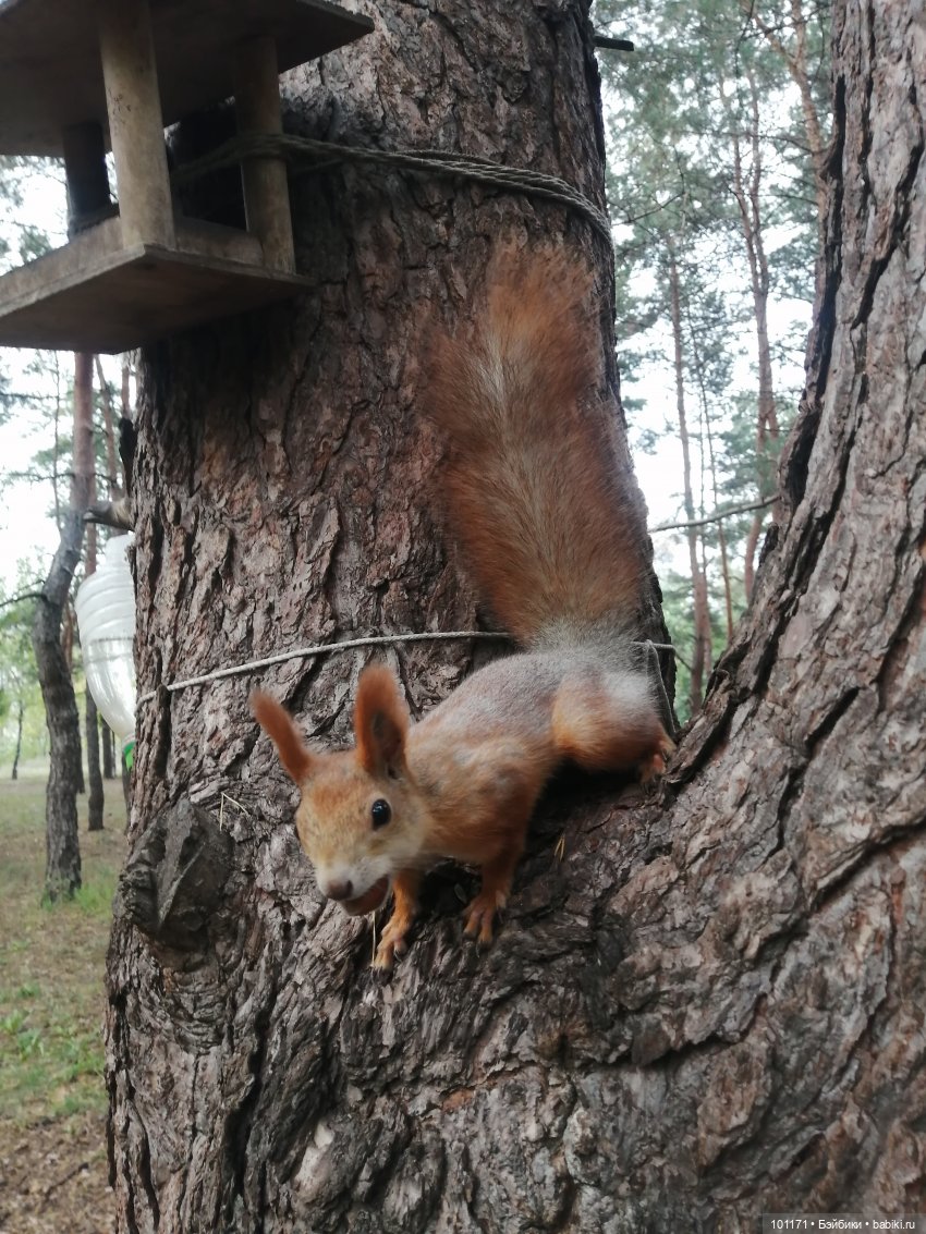 Сюрприз из детства — Игрушки СССР и советского детства: резиновые (фото 4)