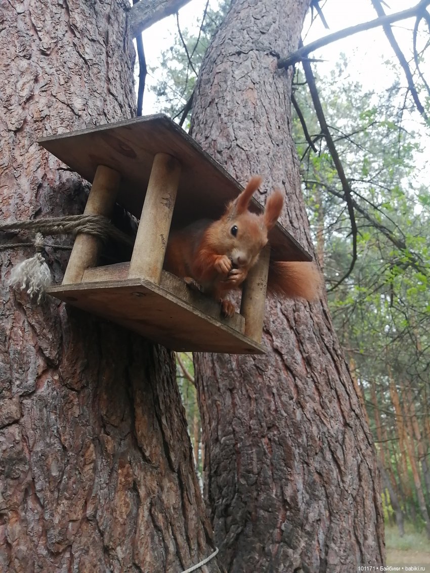 Сюрприз из детства — Игрушки СССР и советского детства: резиновые (фото 5)