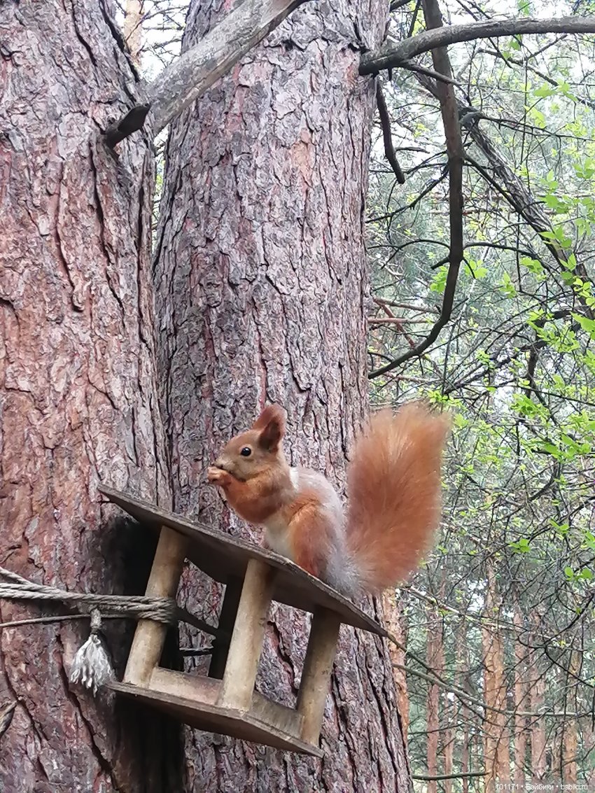 Сюрприз из детства — Игрушки СССР и советского детства: резиновые (фото 6)