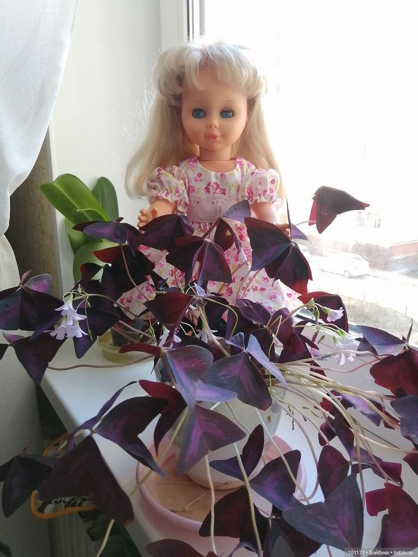 Весенние грезы Алисы — Винтажные куклы ГДР (Немки): Бигги (фото 9)