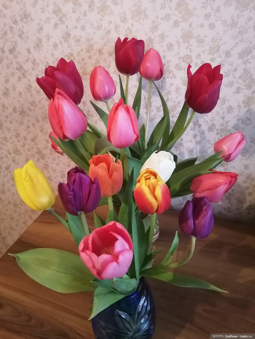 Весенние грезы Алисы — Винтажные куклы ГДР (Немки): Бигги