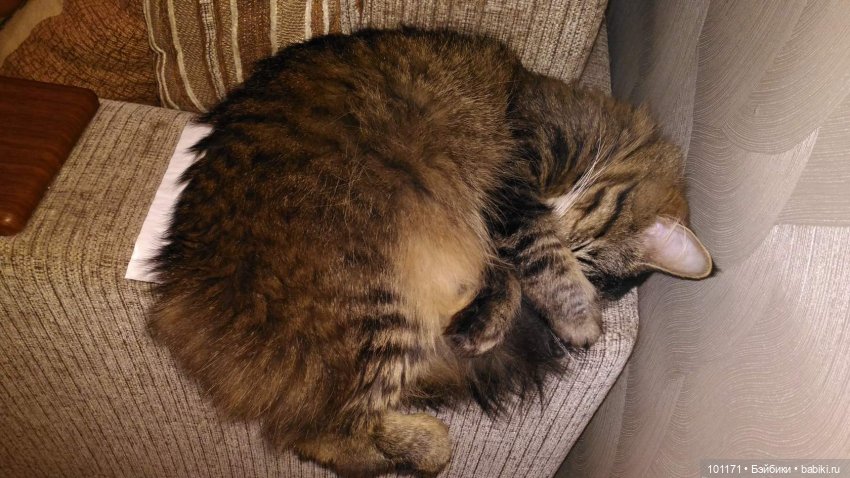 Весенние грезы Алисы — Винтажные куклы ГДР (Немки): Бигги (фото 10)