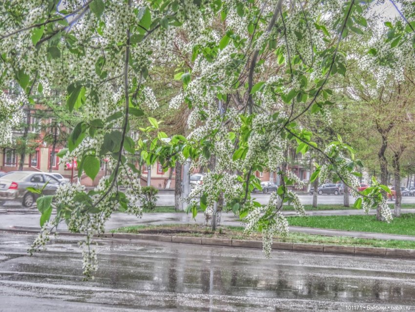 "Блошка" в Воронеже 29.04.23: поход как форма зависимости