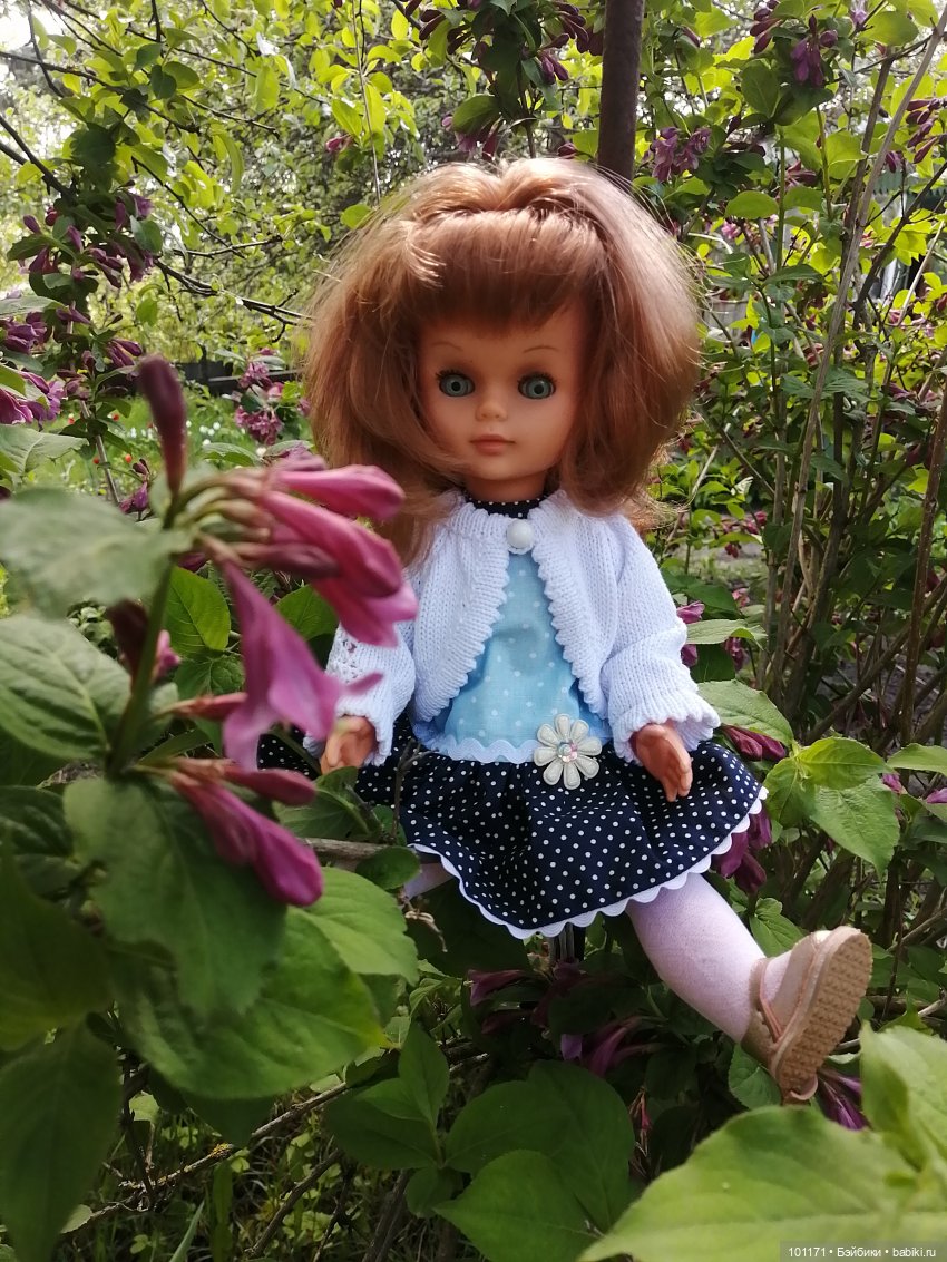 Элли ( Стэллина от "Sebino") и Тотошка на даче (фото 5)