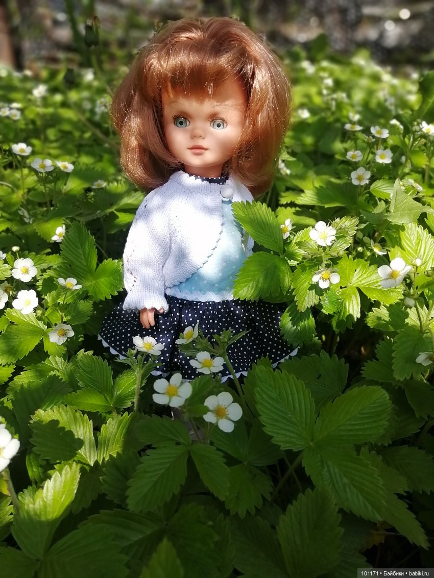 Элли ( Стэллина от "Sebino") и Тотошка на даче (фото 7)