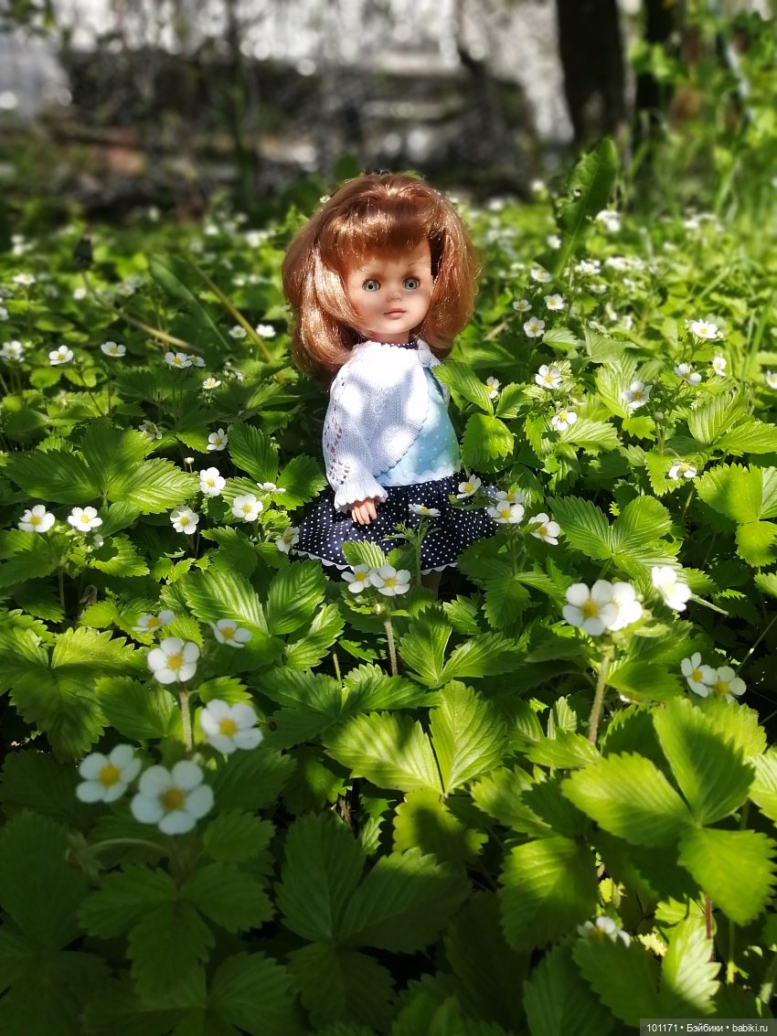 Элли ( Стэллина от "Sebino") и Тотошка на даче (фото 8)