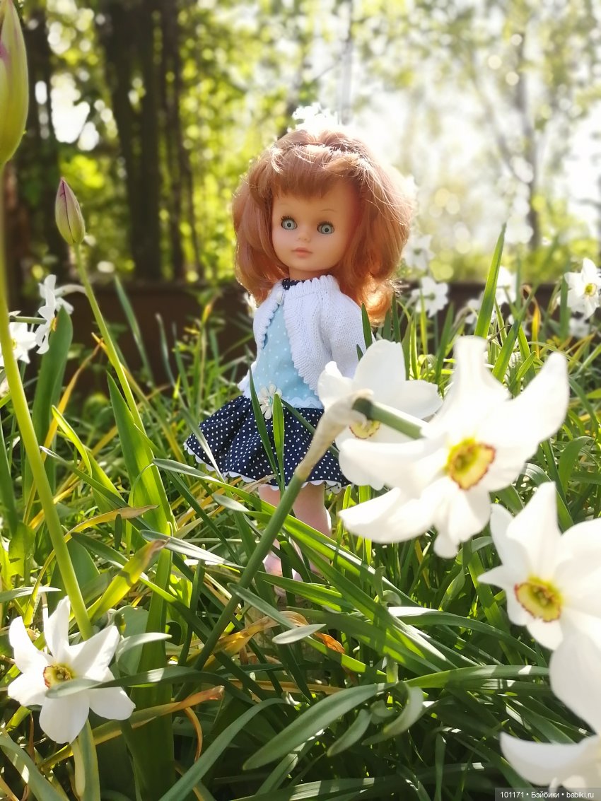 Элли ( Стэллина от "Sebino") и Тотошка на даче (фото 6)