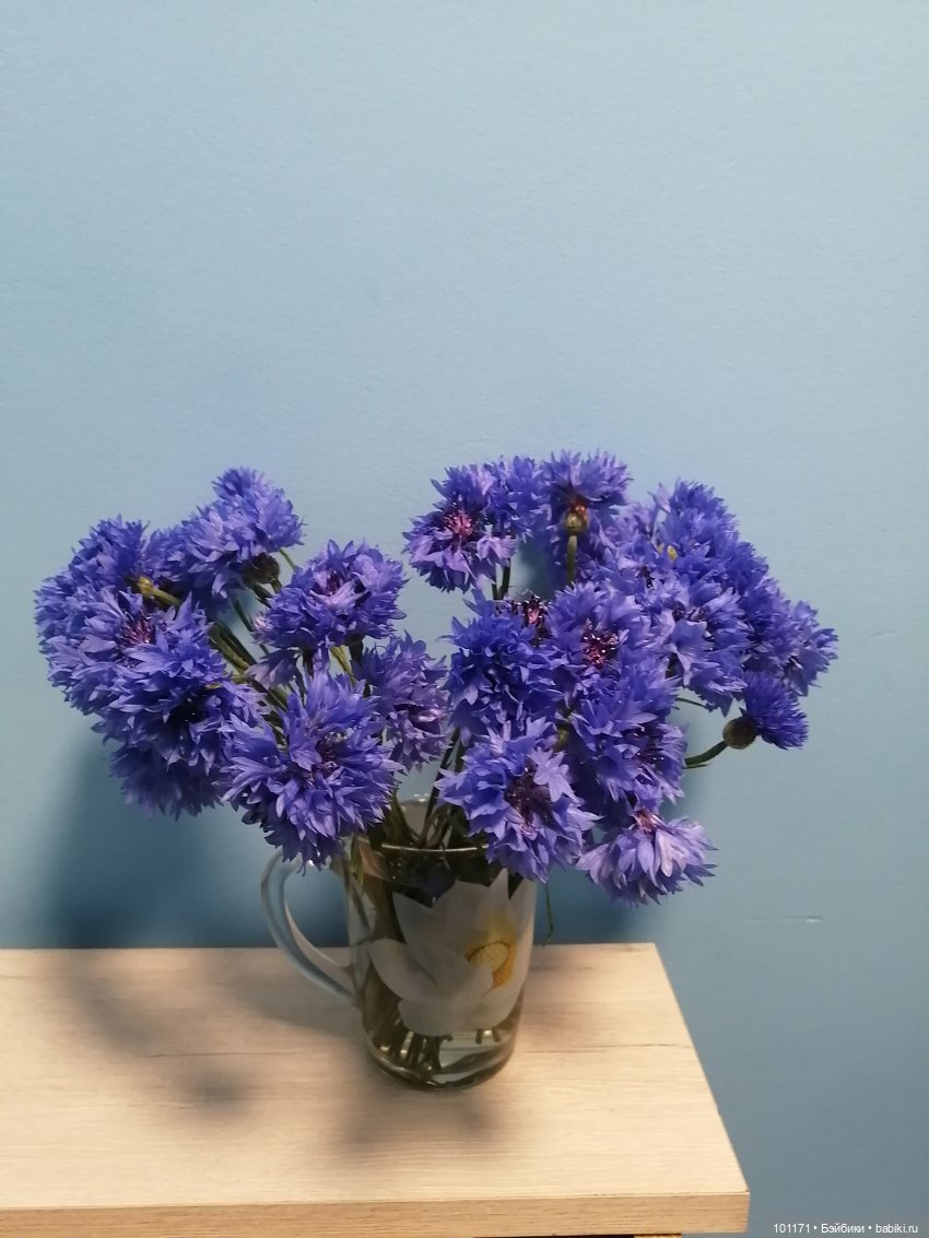 Новое платье Камиллы и "Котенок с улицы Лизюкова"