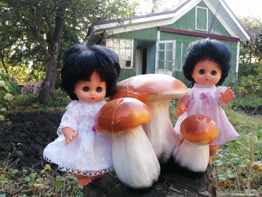 Тина и Регина: "Ну здравствуй, октябрь! " (фото 4)