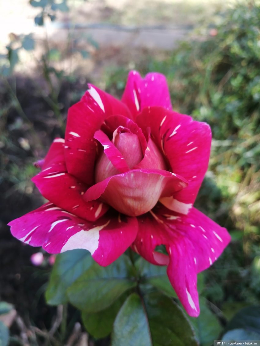 Тина и Регина: "Ну здравствуй, октябрь! "