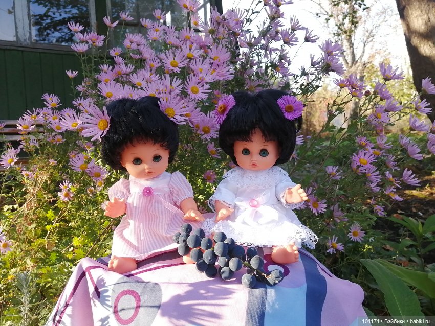 Тина и Регина: "Ну здравствуй, октябрь! " (фото 7)