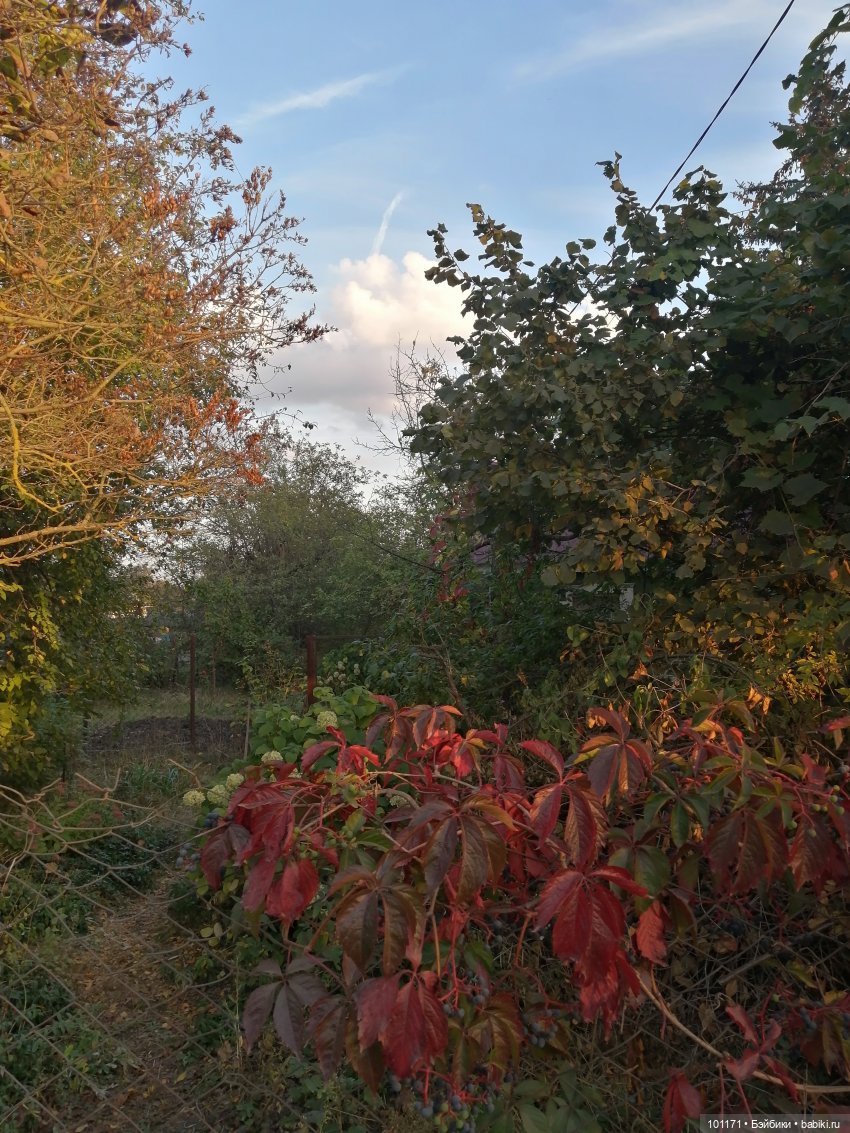 Тина и Регина: "Ну здравствуй, октябрь! "