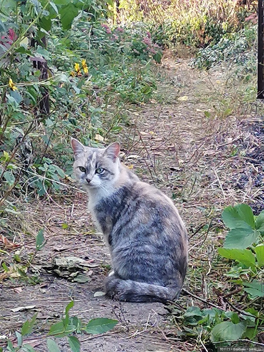 Тина и Регина: "Ну здравствуй, октябрь! "