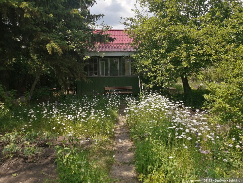 Мариночка и июньское воскресенье (фото 9)