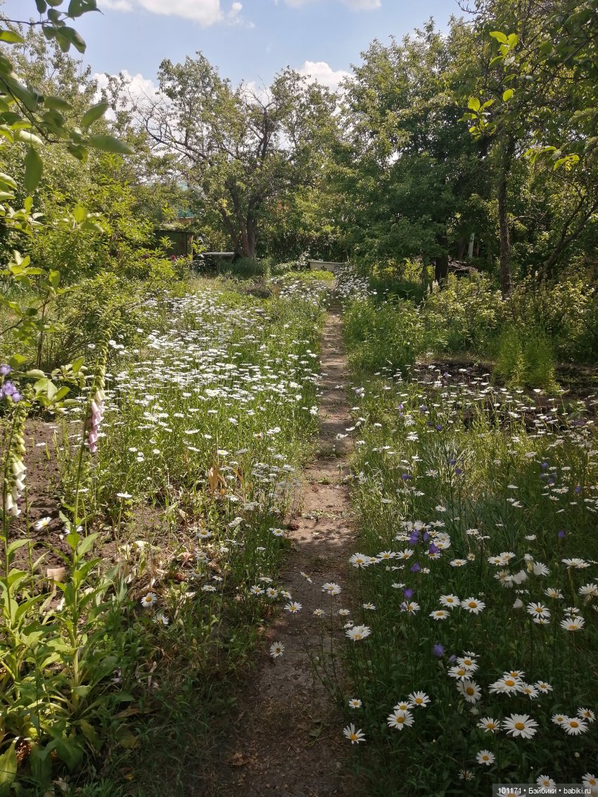 Мариночка и июньское воскресенье (фото 10)