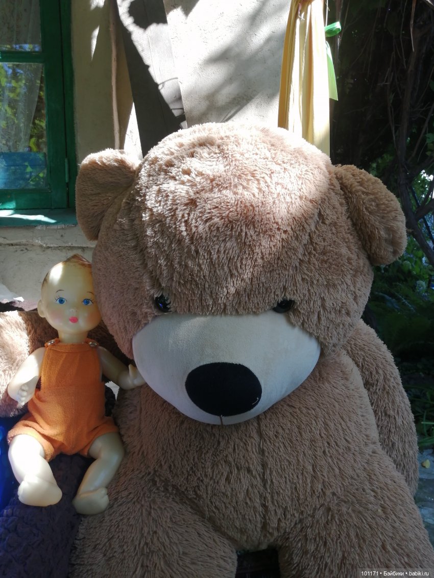 Старая дача и ее обитатели (фото 4)