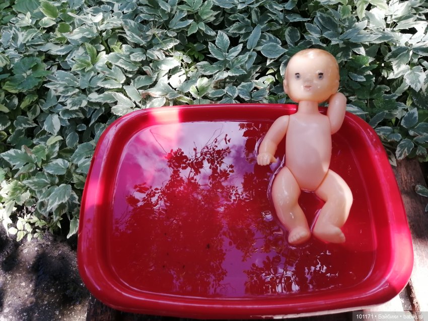 Старая дача и ее обитатели